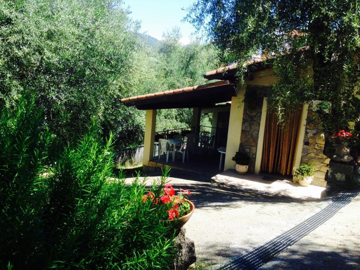 Casa Vacanze Uliveto Bordighera Bagian luar foto